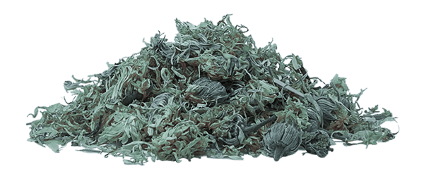 Home Herbal 4